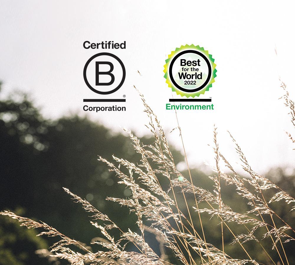 Why being Best for the World™ B Corp is not good enough
